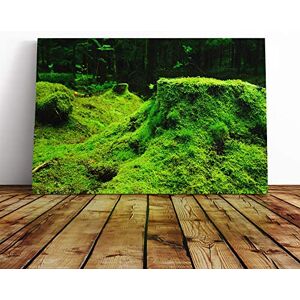 Big Box Art Landscape Forest Moss Norway Canvas Print Gallery Wrapped 30mm Frame Wall Art 24x16 inches Ready to Hang Modern Landscape Picture Living Room Bedroom Lounge Office Big Box Art Landscape Forest Moss Norway Canvas Print Gallery Wrapped 30mm Frame Wall Art 24x16 inches Ready to Hang Modern Landscape Picture Living Room Bedroom Lounge Office