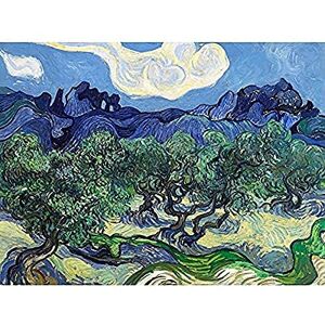 Fine Art Prints Vincent Van Gogh The Olive Trees Unframed Wall Art Print Poster Home Decor Premium Fine Art Prints Vincent Van Gogh The Olive Trees Unframed Wall Art Print Poster Home Decor Premium