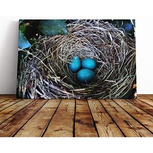 Big Box Art Birds Nest Duck Egg Blue Canvas Print Gallery Wrapped 30mm Frame Wall Art 30x20 inches Ready to Hang Modern Bird Picture Living Room Bedroom Lounge Office Big Box Art Birds Nest Duck Egg Blue Canvas Print Gallery Wrapped 30mm Frame Wall Art 30x20 inches Ready to Hang Modern Bird Picture Living Room Bedroom Lounge Office