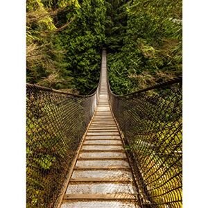 Fine Art Prints Kunstdruck auf Leinwand, Motiv: Delso Lynn Canyon Suspension Bridge Kanada, 45,7 x 61 cm Fine Art Prints Kunstdruck auf Leinwand, Motiv: Delso Lynn Canyon Suspension Bridge Kanada, 45,7 x 61 cm