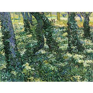 Fine Art Prints Vincent Van Gogh Undergrowth Large Wall Art Print Canvas Premium Poster Mural Fine Art Prints Vincent Van Gogh Undergrowth Large Wall Art Print Canvas Premium Poster Mural