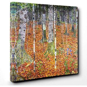 Big Box Art Canvas Print Wall Art Gustav Klimt Birch Forest Mounted and Stretched Box Frame Picture Home Decor for Kitchen, Living, Dining Room, Bedroom, Hallway, Multi-Colour, 20x20 Inch Big Box Art Canvas Print Wall Art Gustav Klimt Birch Forest Mounted and Stretched Box Frame Picture Home Decor for Kitchen, Living, Dining Room, Bedroom, Hallway, Multi-Colour, 20x20 Inch
