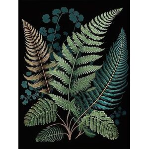 Artery8 Detailed Leaves Fern Fronds Botanical Illustration Large Wall Art Poster Print Thick Paper 18X24 Inch Artery8 Detailed Leaves Fern Fronds Botanical Illustration Large Wall Art Poster Print Thick Paper 18X24 Inch