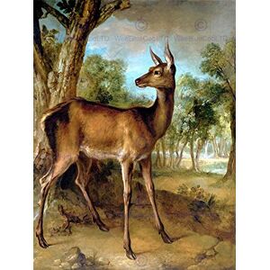 Wee Blue Coo Painting Animal Portrait Study Oudry Watchful Doe Wall Art Print Wee Blue Coo Painting Animal Portrait Study Oudry Watchful Doe Wall Art Print