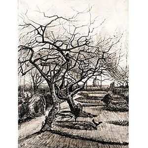 Fine Art Prints Vincent Van Gogh The Parsonage Garden At Nuenen In Winter Unframed Wall Art Print Poster Home Decor Premium Fine Art Prints Vincent Van Gogh The Parsonage Garden At Nuenen In Winter Unframed Wall Art Print Poster Home Decor Premium