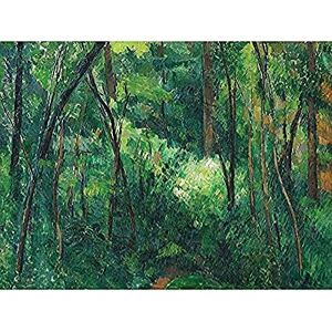 Fine Art Prints Paul Cezanne Interior Of A Forest Art Print Canvas Premium Wall Decor Poster Mural Fine Art Prints Paul Cezanne Interior Of A Forest Art Print Canvas Premium Wall Decor Poster Mural