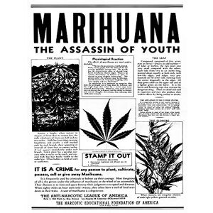 Wee Blue Coo Advertising Drug Awareness Warning Marijuana Weed Cannabis Panic USA Art Print Poster Wall Decor 12X16 Inch Wee Blue Coo Advertising Drug Awareness Warning Marijuana Weed Cannabis Panic USA Art Print Poster Wall Decor 12X16 Inch