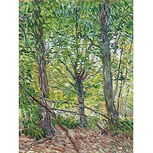 Fine Art Prints Vincent Van Gogh Trees and Undergrowth 1887 Unframed Wall Art Print Poster Home Decor Premium Fine Art Prints Vincent Van Gogh Trees and Undergrowth 1887 Unframed Wall Art Print Poster Home Decor Premium