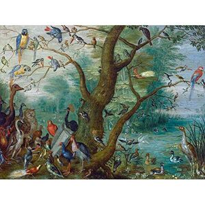 Wee Blue Coo Jan Van Kessel Concert Birds Old Painting Art Print Poster Wall Decor 12X16 Inch Wee Blue Coo Jan Van Kessel Concert Birds Old Painting Art Print Poster Wall Decor 12X16 Inch