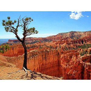 Wee Blue Coo Bryce Canyon Utah USA Landscape Art Print Poster Wall Decor 12X16 Inch Wee Blue Coo Bryce Canyon Utah USA Landscape Art Print Poster Wall Decor 12X16 Inch