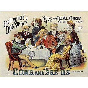 Wee Blue Coo Advert Dog Show Pet Canine Ny Sheffield Vintage UK Art Print Poster Wall Decor 12X16 Inch Wee Blue Coo Advert Dog Show Pet Canine Ny Sheffield Vintage UK Art Print Poster Wall Decor 12X16 Inch