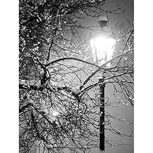 Wee Blue Coo Lonely Street Lamp Winter Night Black White Photo Art Large Art Print Poster Wall Decor 18x24 inch Wee Blue Coo Lonely Street Lamp Winter Night Black White Photo Art Large Art Print Poster Wall Decor 18x24 inch