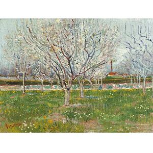 Fine Art Prints Vincent Van Gogh Orchard In Blossom Plum Trees Unframed Wall Art Print Poster Home Decor Premium Fine Art Prints Vincent Van Gogh Orchard In Blossom Plum Trees Unframed Wall Art Print Poster Home Decor Premium