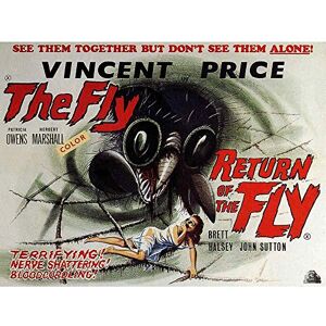 Wee Blue Coo Film Return Of The Fly Vincent Price Sci Fi Horror Sequel USA Art Print Poster Wall Decor 12X16 Inch Wee Blue Coo Film Return Of The Fly Vincent Price Sci Fi Horror Sequel USA Art Print Poster Wall Decor 12X16 Inch