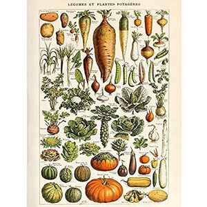 Artery8 Millot Encyclopedia Page Vegetables Legumes Art Print Canvas Premium Wall Decor Poster Mural Artery8 Millot Encyclopedia Page Vegetables Legumes Art Print Canvas Premium Wall Decor Poster Mural