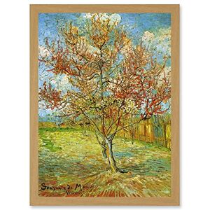 Artery8 Painting Van Gogh Pink Peach Tree Blossom Artwork Framed Wall Art Print A4 Artery8 Painting Van Gogh Pink Peach Tree Blossom Artwork Framed Wall Art Print A4