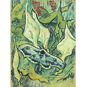 Fine Art Prints Vincent Van Gogh Emperor Moth Large Art Print Poster Wall Decor Premium Mural Fine Art Prints Vincent Van Gogh Emperor Moth Large Art Print Poster Wall Decor Premium Mural
