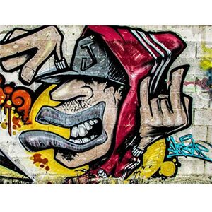 Fine Art Prints Graffiti Guy Dude Street Art Print Poster Wall Decor 12X16 Inch Fine Art Prints Graffiti Guy Dude Street Art Print Poster Wall Decor 12X16 Inch