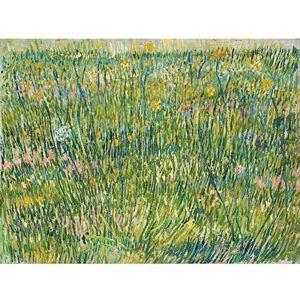 Fine Art Prints Vincent Van Gogh Patch Of Grass Large Wall Art Print Canvas Premium Poster Mural Fine Art Prints Vincent Van Gogh Patch Of Grass Large Wall Art Print Canvas Premium Poster Mural
