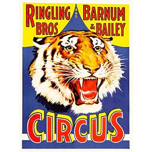 Wee Blue Coo Advert Exhibition Circus Barnum Bailey Ringling Bros Tiger USA Art Print Poster Wall Decor 12X16 Inch Wee Blue Coo Advert Exhibition Circus Barnum Bailey Ringling Bros Tiger USA Art Print Poster Wall Decor 12X16 Inch