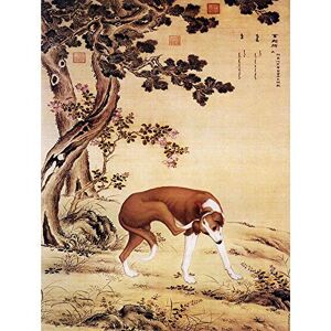 Wee Blue Coo Painting Animal Castiglione Prized Dogs Jixian Greyhound Art Print Poster Wall Decor 12X16 Inch Wee Blue Coo Painting Animal Castiglione Prized Dogs Jixian Greyhound Art Print Poster Wall Decor 12X16 Inch