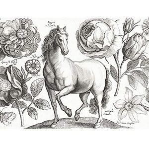 Artery8 Hollar Horse Flowers Butterfly Etching Unframed Wall Art Print Poster Home Decor Premium Artery8 Hollar Horse Flowers Butterfly Etching Unframed Wall Art Print Poster Home Decor Premium