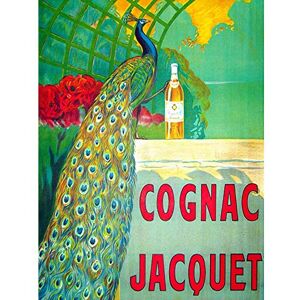 Wee Blue Coo Advert Cognac Drink Beverage Peacock Colourful Art Print Poster Wall Decor 12X16 Inch Wee Blue Coo Advert Cognac Drink Beverage Peacock Colourful Art Print Poster Wall Decor 12X16 Inch