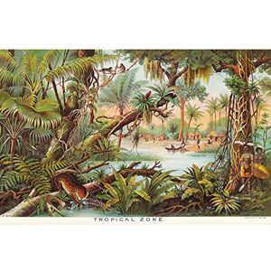 Artery8 Map Yaggy 1893 Tropical Zone Jungle Animals Art Print Canvas Premium Wall Decor Poster Mural Artery8 Map Yaggy 1893 Tropical Zone Jungle Animals Art Print Canvas Premium Wall Decor Poster Mural
