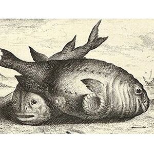 Artery8 Flamen Two Porpoises Beach Vintage Drawing Unframed Wall Art Print Poster Home Decor Premium Artery8 Flamen Two Porpoises Beach Vintage Drawing Unframed Wall Art Print Poster Home Decor Premium