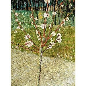 Fine Art Prints Vincent Van Gogh Almond Tree In Blossom Unframed Wall Art Print Poster Home Decor Premium Fine Art Prints Vincent Van Gogh Almond Tree In Blossom Unframed Wall Art Print Poster Home Decor Premium