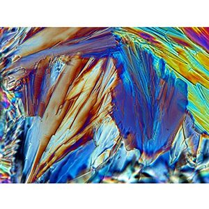 Fine Art Prints Abstract Glucose Crystal Electron Microscope Art Print Canvas Premium Wall Decor Poster Fine Art Prints Abstract Glucose Crystal Electron Microscope Art Print Canvas Premium Wall Decor Poster