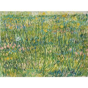 Fine Art Prints Vincent Van Gogh Patch Of Grass Art Print Canvas Premium Wall Decor Poster Mural Fine Art Prints Vincent Van Gogh Patch Of Grass Art Print Canvas Premium Wall Decor Poster Mural