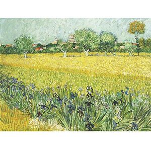 Fine Art Prints Vincent Van Gogh Veld Met Bloemen Bij Arles Großer Kunstdruck Poster Wanddekoration Premium Wandbild Fine Art Prints Vincent Van Gogh Veld Met Bloemen Bij Arles Großer Kunstdruck Poster Wanddekoration Premium Wandbild