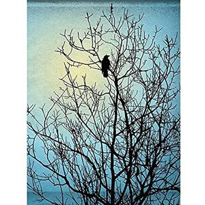 Wee Blue Coo Raven Tree Silhouette Unframed Art Print Poster Wall Decor 12X16 Inch Wee Blue Coo Raven Tree Silhouette Unframed Art Print Poster Wall Decor 12X16 Inch