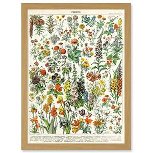 Artery8 - Flowers Botanical - A4 - Framed Wall Art Artery8 - Flowers Botanical - A4 - Framed Wall Art