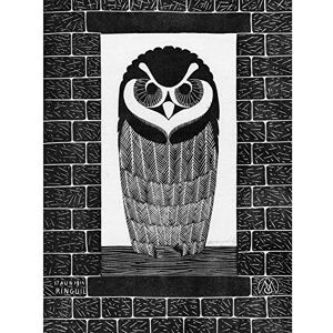 Wee Blue Coo Samuel Jessurun De Mesquita Ring Owl Unframed Art Print Poster Wall Decor 12X16 Inch Wee Blue Coo Samuel Jessurun De Mesquita Ring Owl Unframed Art Print Poster Wall Decor 12X16 Inch