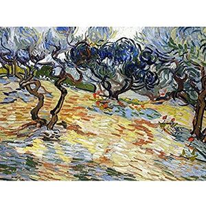 Fine Art Prints Vincent Van Gogh Olive Trees Art Print Canvas Premium Wall Decor Poster Mural Fine Art Prints Vincent Van Gogh Olive Trees Art Print Canvas Premium Wall Decor Poster Mural
