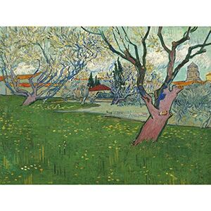 Fine Art Prints Vincent Van Gogh Bloeiende Boomgaarden Gezicht Op Arles Large Wall Art Print Canvas Premium Poster Mural Fine Art Prints Vincent Van Gogh Bloeiende Boomgaarden Gezicht Op Arles Large Wall Art Print Canvas Premium Poster Mural