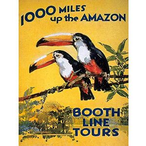 Wee Blue Coo Amazon Toucan River Brazil South America Jungle Rain Forest Vintage Art Print Poster Wall Decor 12X16 Inch Wee Blue Coo Amazon Toucan River Brazil South America Jungle Rain Forest Vintage Art Print Poster Wall Decor 12X16 Inch