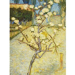 Fine Art Prints Vincent Van Gogh Bloeiend Perenboompje Cropped Large Wall Art Print Canvas Premium Poster Mural Fine Art Prints Vincent Van Gogh Bloeiend Perenboompje Cropped Large Wall Art Print Canvas Premium Poster Mural
