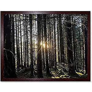 Fine Art Prints Koumu Inveraray Trees Forest Spring Scotland Highlands Photo Unframed Wall Art Print Poster Home Decor Premium Fine Art Prints Koumu Inveraray Trees Forest Spring Scotland Highlands Photo Unframed Wall Art Print Poster Home Decor Premium