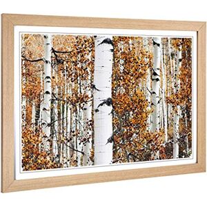 Big Box Art Framed Print of Autumn Landscape Aspen Forest WOD Design Wall Art Picture Home Decor for Kitchen, Living Room, Bedroom, Hallway, Oak, A2 / 24.5x18 Inch / 62x45cm Big Box Art Framed Print of Autumn Landscape Aspen Forest WOD Design Wall Art Picture Home Decor for Kitchen, Living Room, Bedroom, Hallway, Oak, A2 / 24.5x18 Inch / 62x45cm