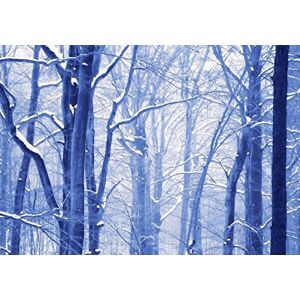 Wee Blue Coo Photo Composition Winter Trees Forest Swirl Effect Wall Art Print Wee Blue Coo Photo Composition Winter Trees Forest Swirl Effect Wall Art Print