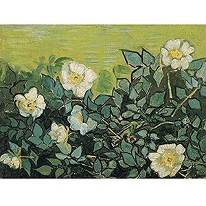 Fine Art Prints Vincent Van Gogh Wild Roses Art Print Canvas Premium Wall Decor Poster Mural Fine Art Prints Vincent Van Gogh Wild Roses Art Print Canvas Premium Wall Decor Poster Mural