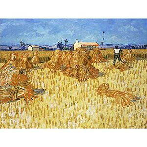 Fine Art Prints Vincent Van Gogh Corn Harvest In Provence Large Art Print Poster Wall Decor Premium Mural Fine Art Prints Vincent Van Gogh Corn Harvest In Provence Large Art Print Poster Wall Decor Premium Mural