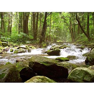 Wee Blue Coo Landscape Great Smoky Stream Forest Park USA Art Print Poster Wall Decor 12X16 Inch Wee Blue Coo Landscape Great Smoky Stream Forest Park USA Art Print Poster Wall Decor 12X16 Inch