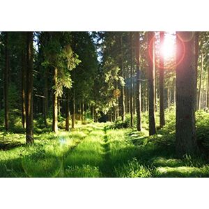 Wee Blue Coo Photo Composition Rees Forest Glade Swirl Effect Wall Art Print Wee Blue Coo Photo Composition Rees Forest Glade Swirl Effect Wall Art Print