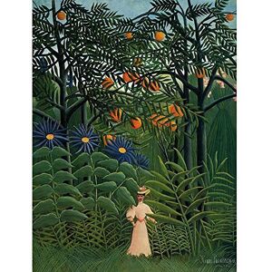 Wee Blue Coo Painting Henri Rousseau Femme Se Promenant Art Print Poster Wall Decor 12X16 Inch Wee Blue Coo Painting Henri Rousseau Femme Se Promenant Art Print Poster Wall Decor 12X16 Inch