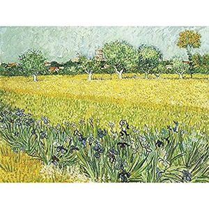 Fine Art Prints Vincent Van Gogh Veld Met Bloemen Bij Arles Art Print Canvas Premium Wall Decor Poster Mural Fine Art Prints Vincent Van Gogh Veld Met Bloemen Bij Arles Art Print Canvas Premium Wall Decor Poster Mural