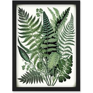 Artery8 - Haeckel Style Fern Fronds - Black - A4 - Art Print Artery8 - Haeckel Style Fern Fronds - Black - A4 - Art Print